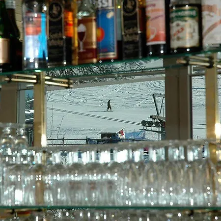 瑞士影视酒店 4* 弗利姆斯