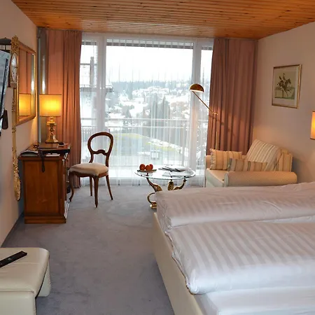 瑞士影视酒店 弗利姆斯