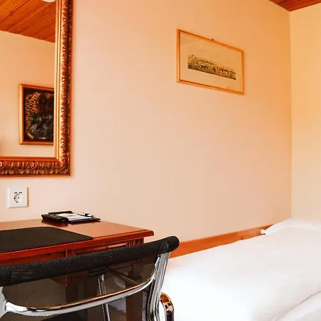 瑞士影视酒店 4* 弗利姆斯