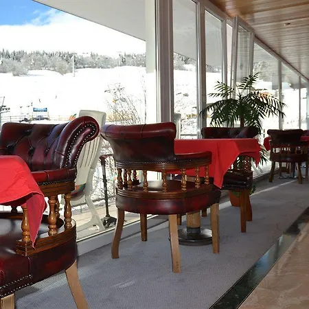 Hotel Hostel Flims 4*