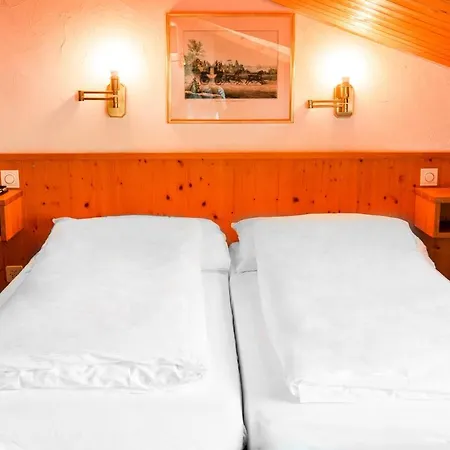 Hotel Hostel Flims 4*