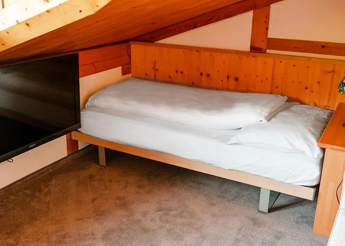Hotel Hostel Flims 4*