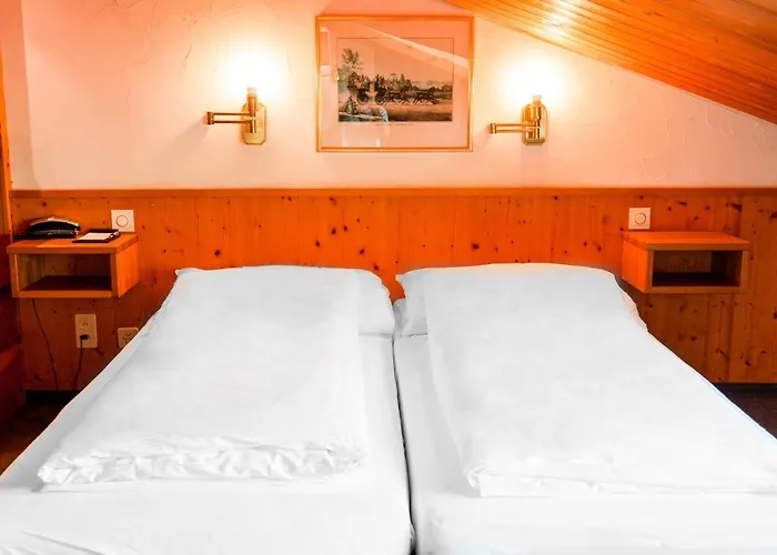 Hotel Hostel Flims 4*